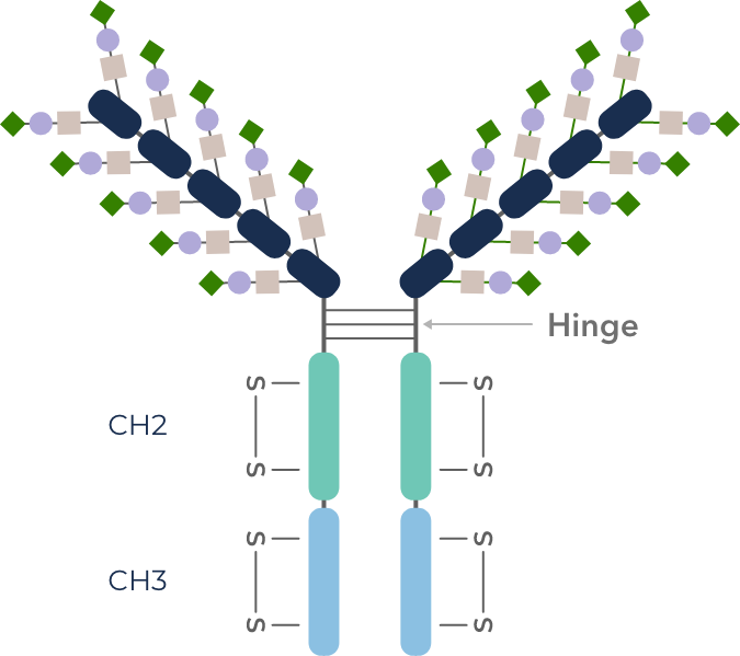 Siglec AI-071 structure