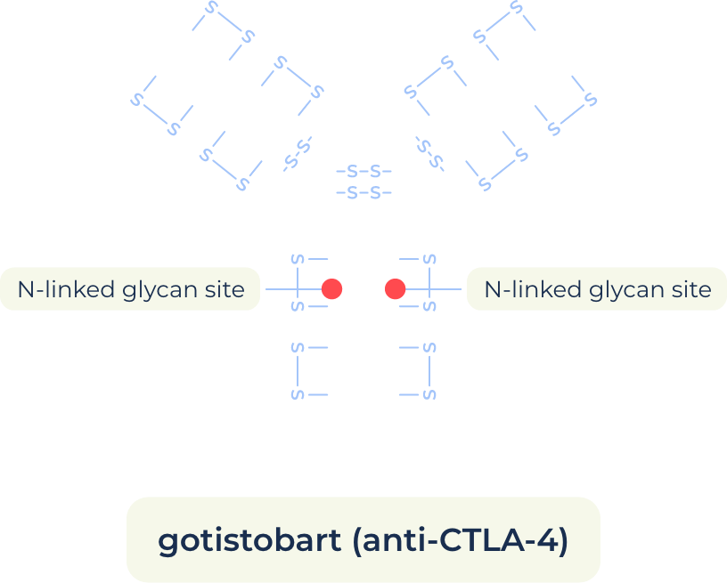 gotisobart